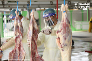 ADAHI dam umroh hadyu haji kurban