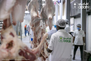 ADAHI dam umroh hadyu haji kurban